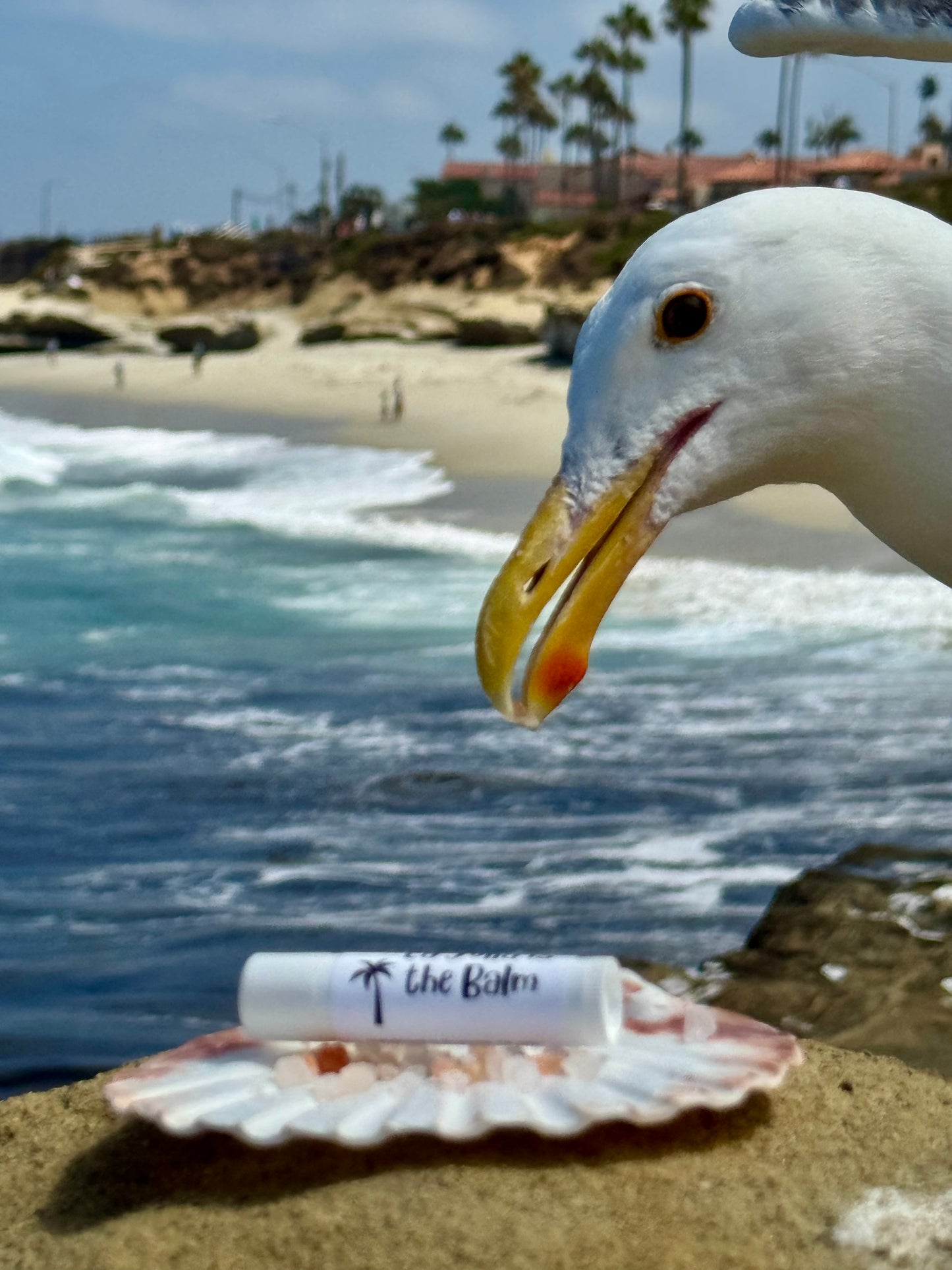La Jolla is the Balm - natural lip balm