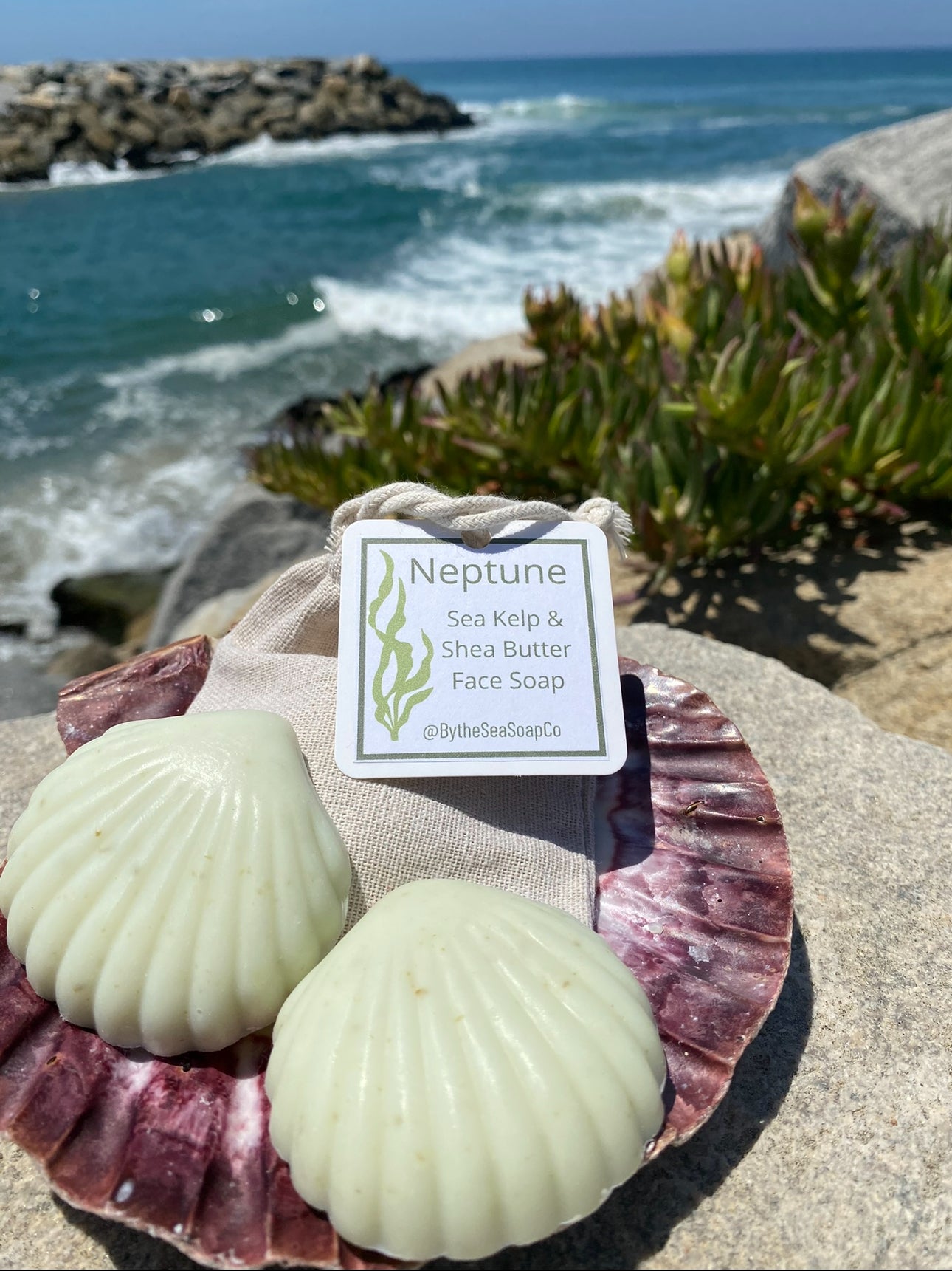 Neptune - Sea Kelp & Shea Butter Unscented Face Soap