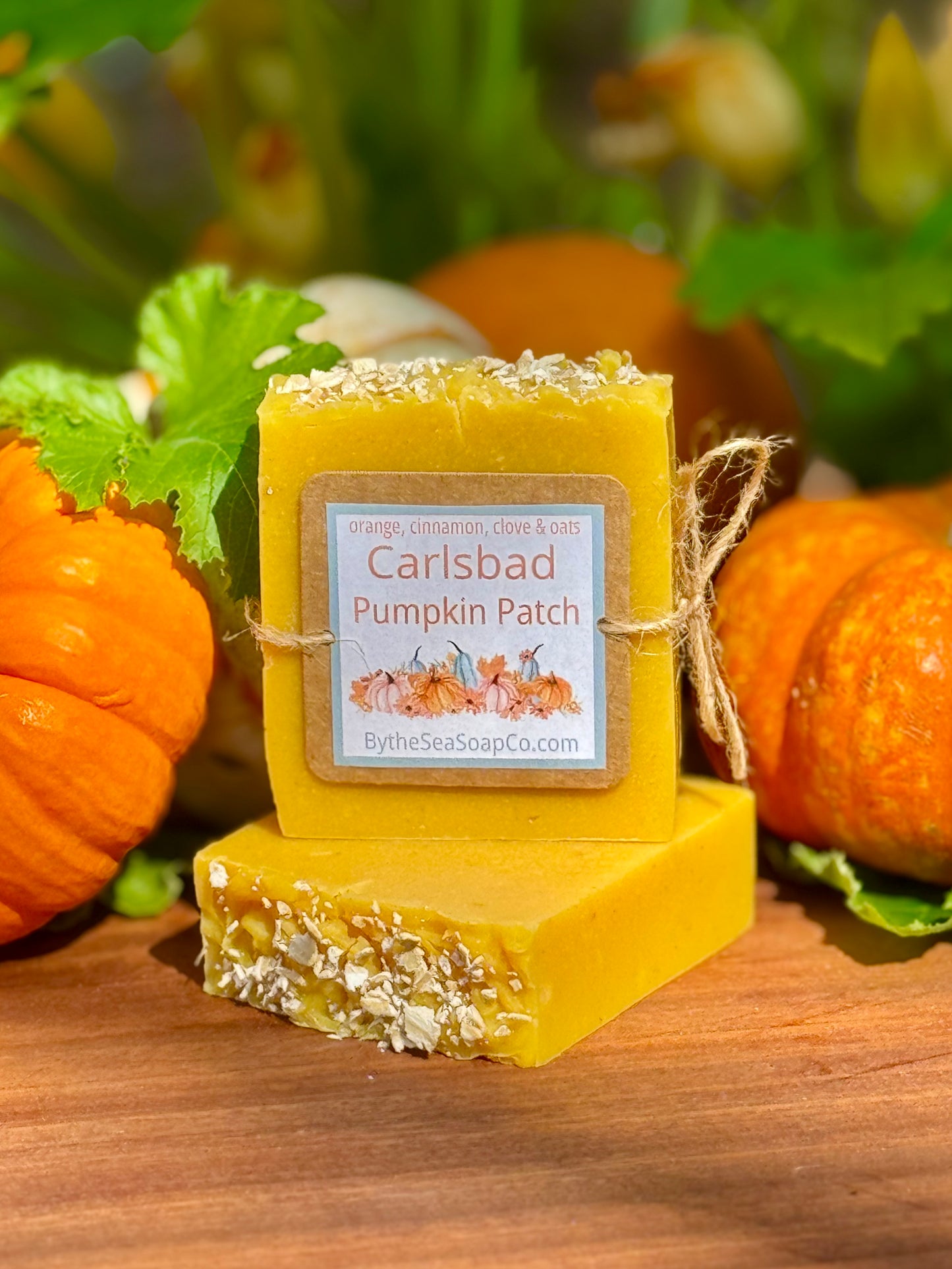 Carlsbad Pumpkin Patch - pumpkin, oats, and goat's milk soap